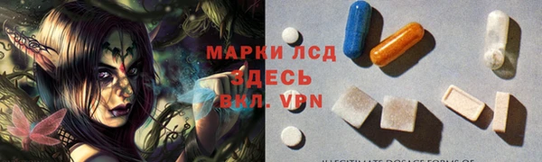 стаф Богородицк