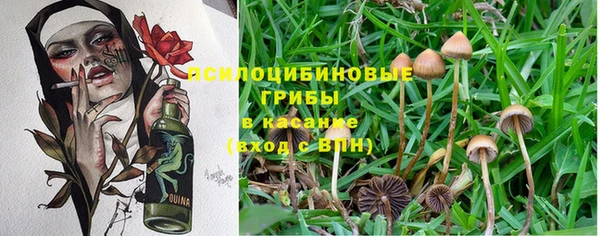 мескалин Богданович
