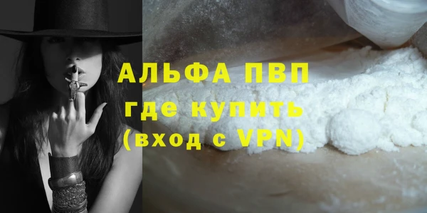 стаф Богородицк