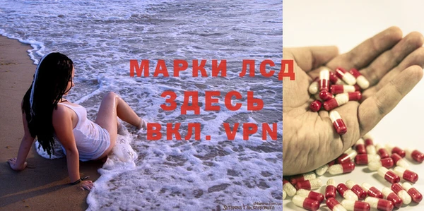 стаф Богородицк