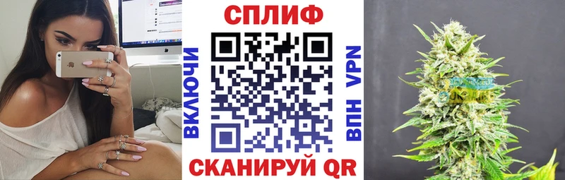 дарк нет Telegram  Няндома  Бошки марихуана план 